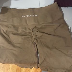 New in bag Chai Amplify shorts
